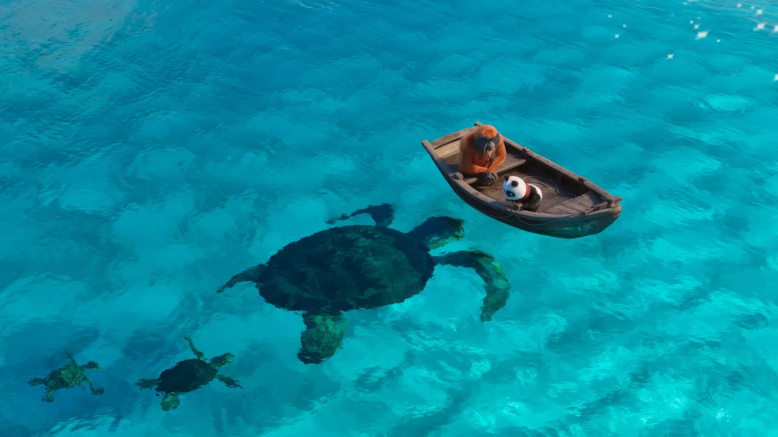 Petit Panda en Afrique