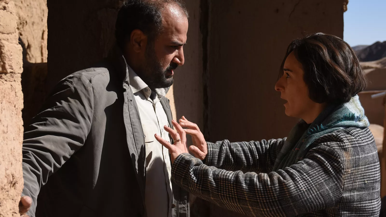 Les graines du figuier sauvage