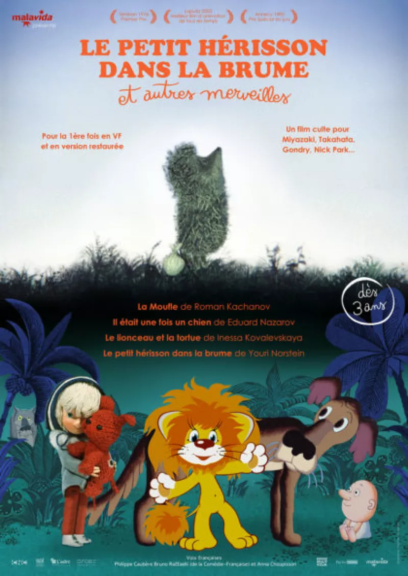 Le petit hérisson dans la brume