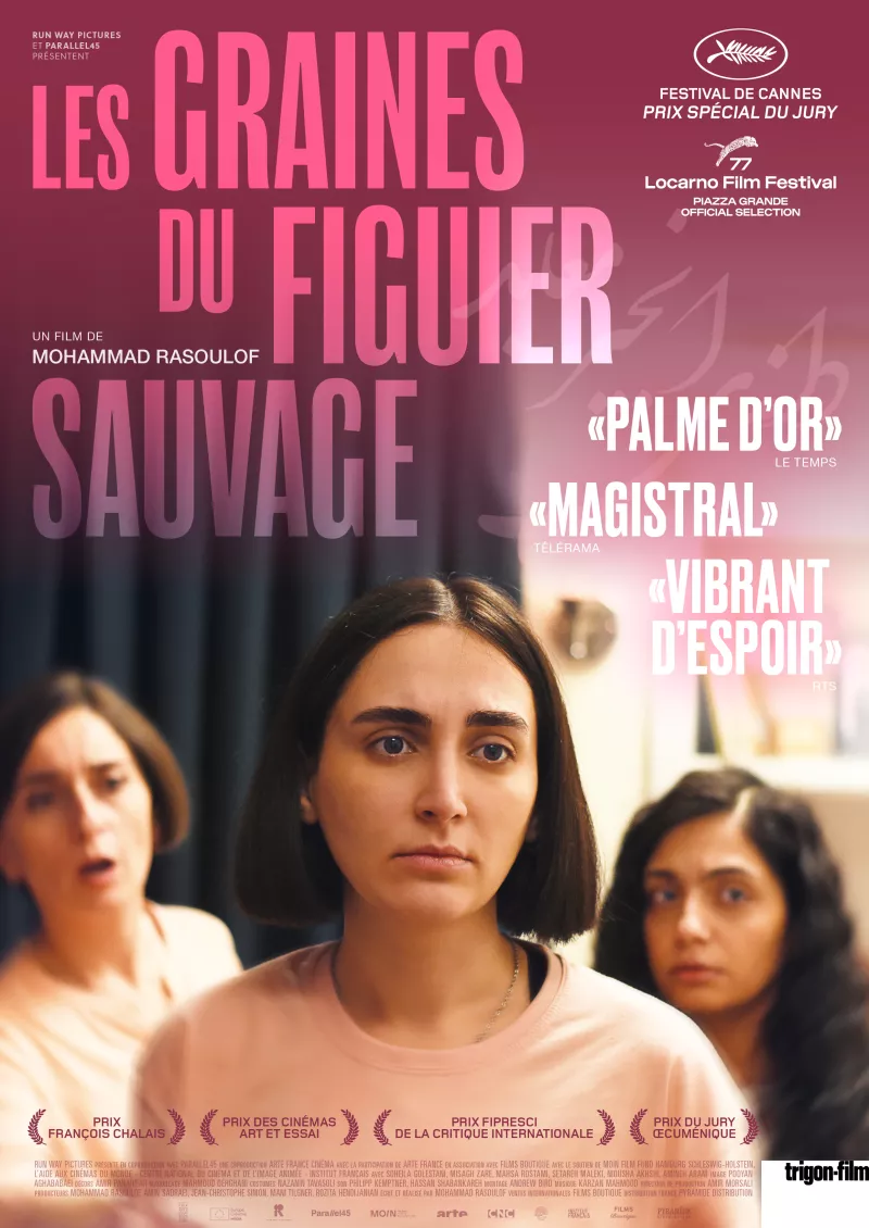Les graines du figuier sauvage