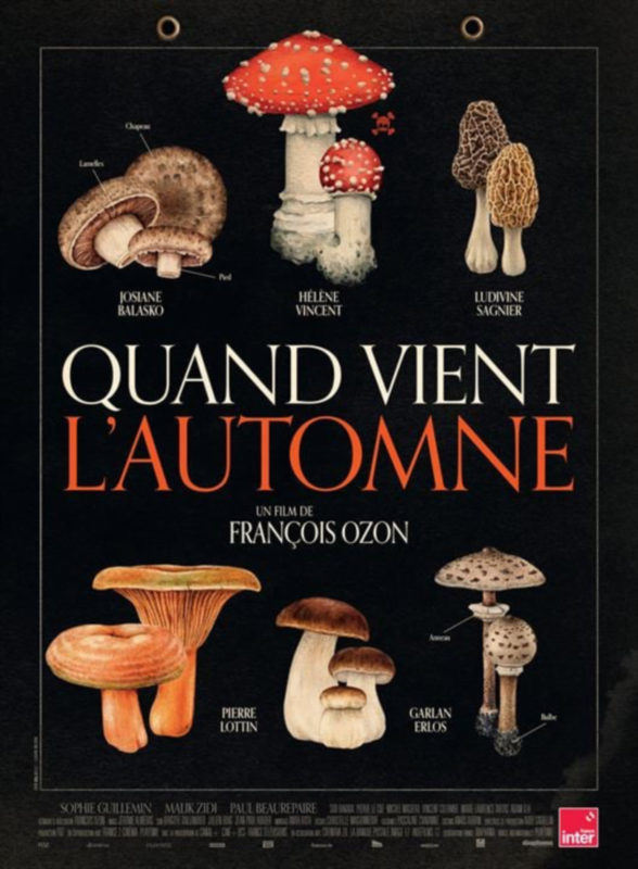 Quand vient l'automne - Cinéma Bio