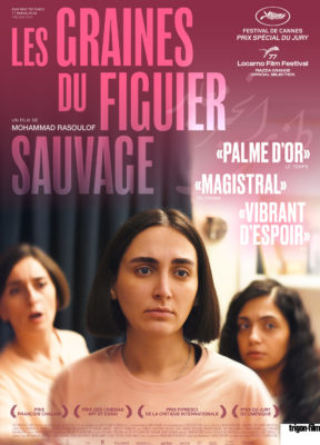 Les graines du figuier sauvage - Cinéma Bio