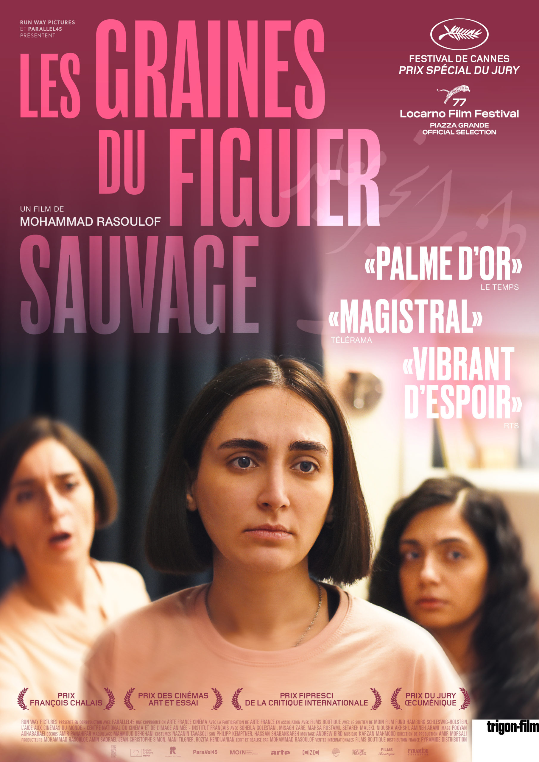 Les graines du figuier sauvage - Cinéma Bio