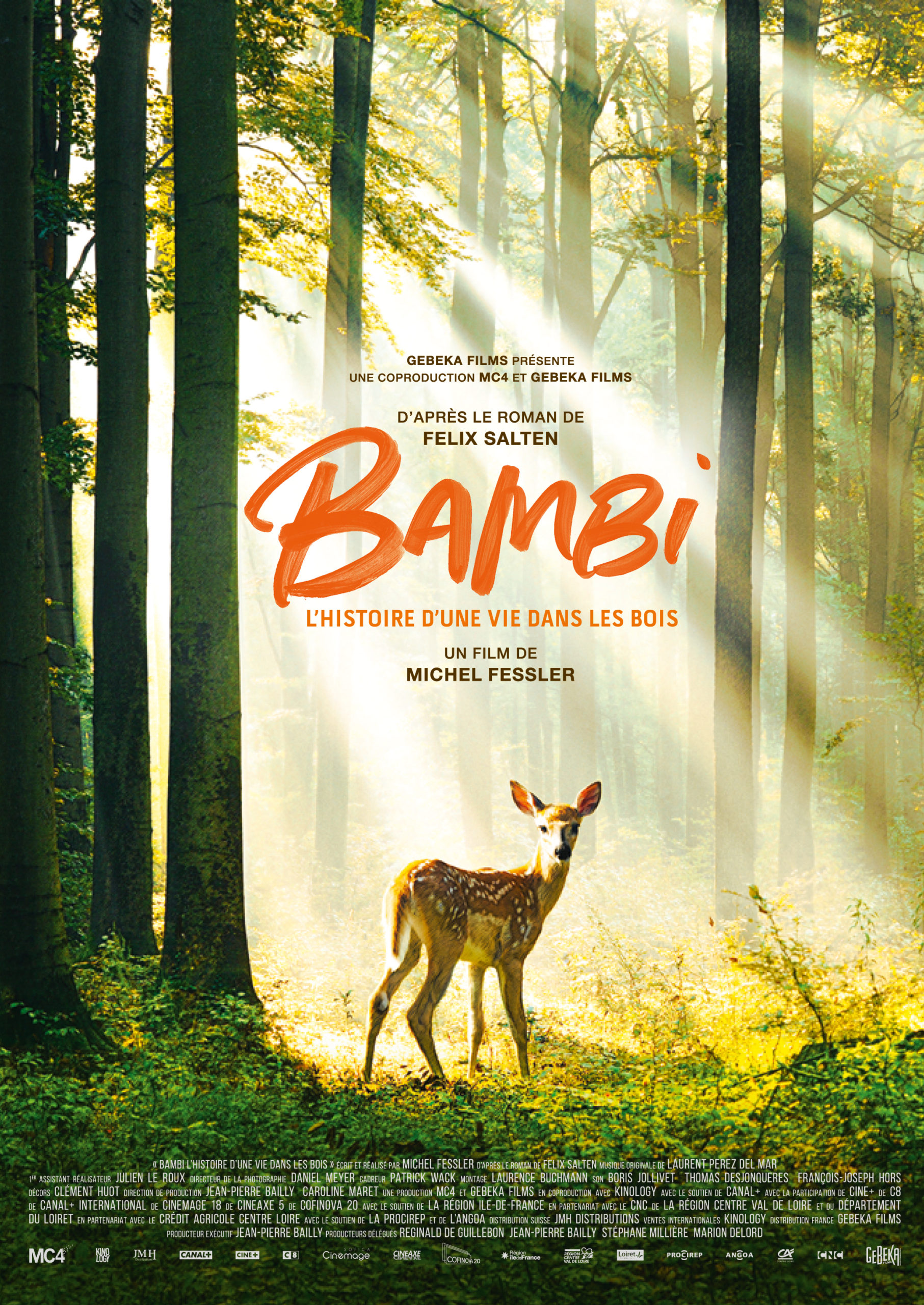 Bambi. L histoire d une vie dans les bois - Cinéma Bio